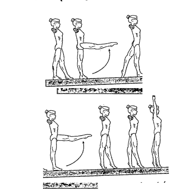 Forward Leg Swings & Back Leg Swings