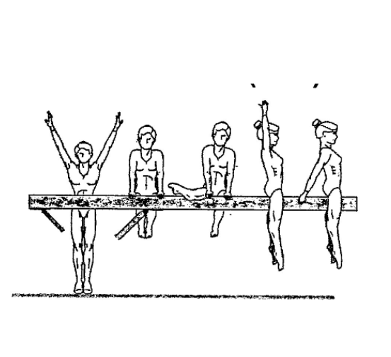 Jump to Front Support Mount