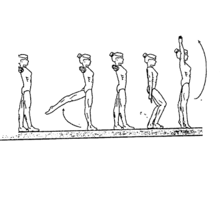 Backward Leg Swing