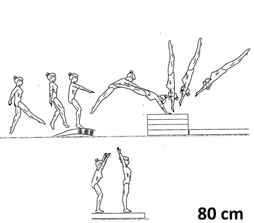 Hand Spring Over 80 cm to  Stand
